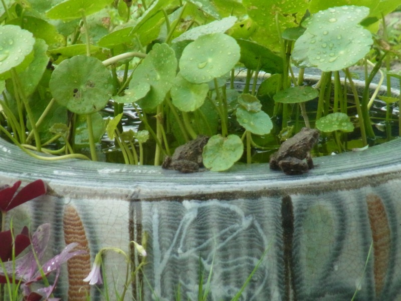 Img_323745612f4e7f3999c529fb54993dbc