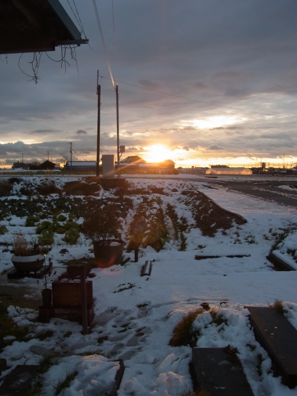 Img_324d3b6b6ea7686ef6b01fc9f07c3c4f