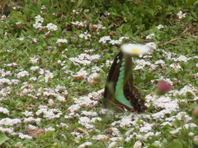 Img_43a734642fe0061bca3ea6c0a4c09980